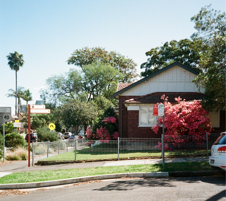 Suburban Sydney Street