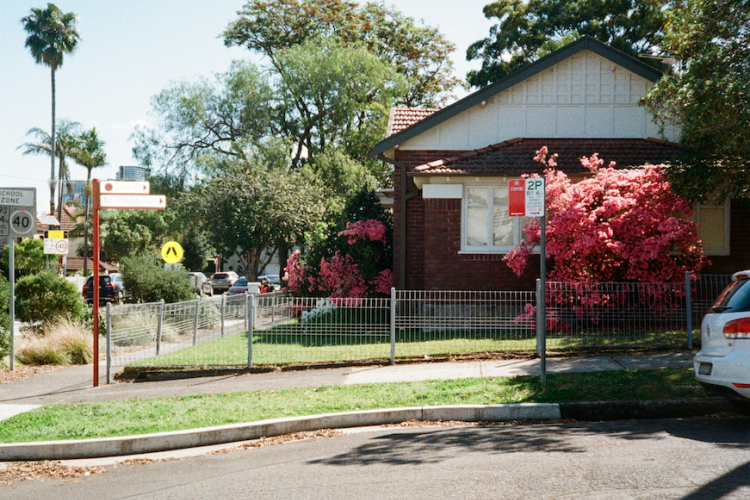 Sydney suburban street